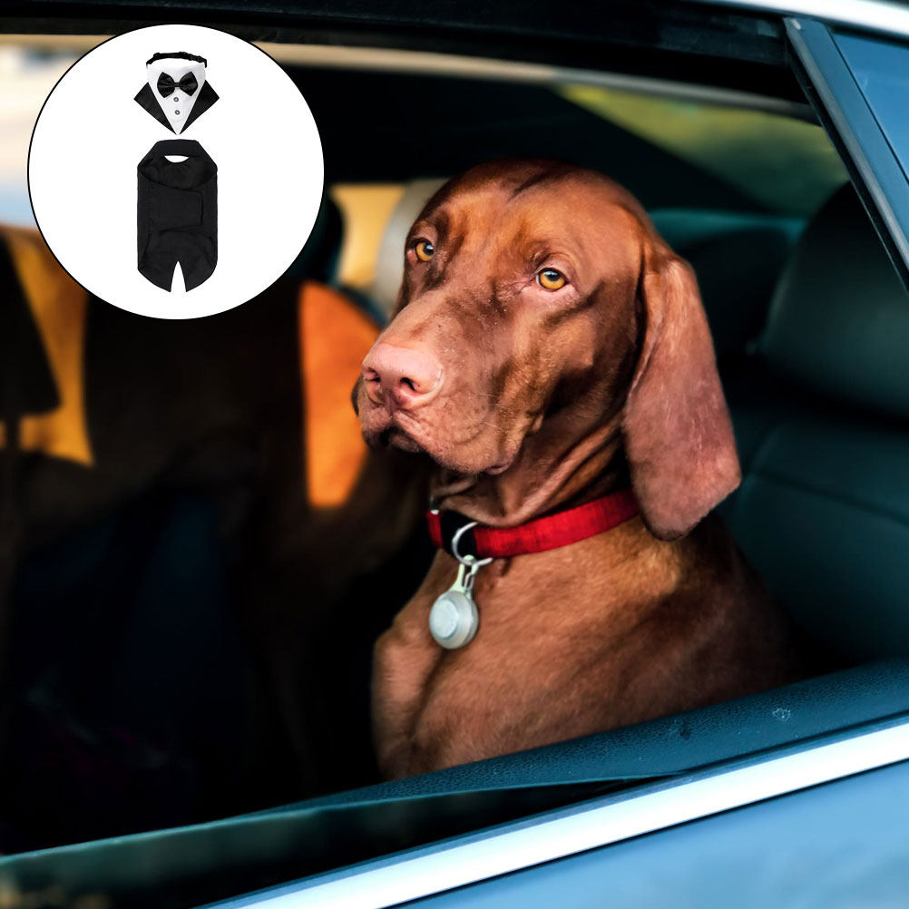 1Set Dog Suit and Bandana Dog  - Suitsupply Wedding Tuxedo recension och pris